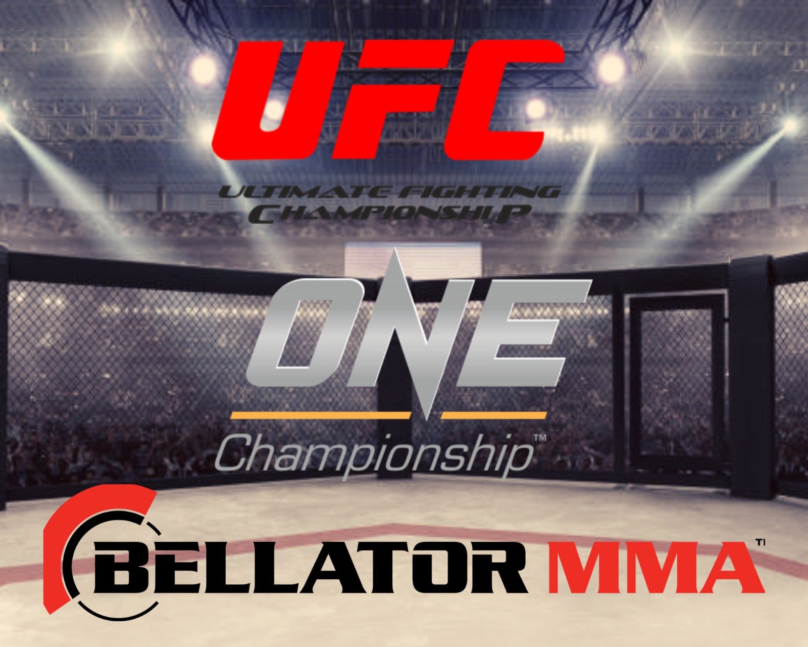 Ein umfassender Vergleich: Wie die UFC, Bellator MMA und ONE Championship zu Ruhm gelangten - BATOUSAI