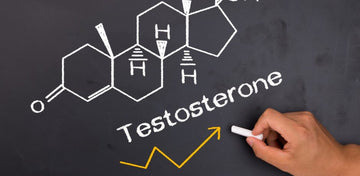 Optimale Testosteronwerte natürlich erreichen: Die Wissenschaft der Hormonoptimierung - BATOUSAI